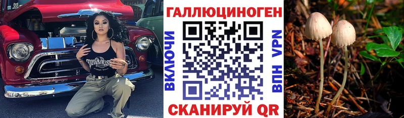 Галлюциногенные грибы Psilocybe  Купить закладки  Нефтегорск 